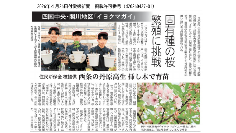 0426イヨクマガイ挿し木_愛媛新聞.pdfの1ページ目のサムネイル