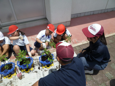 P1040560