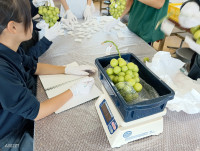IMG_20260831_091914